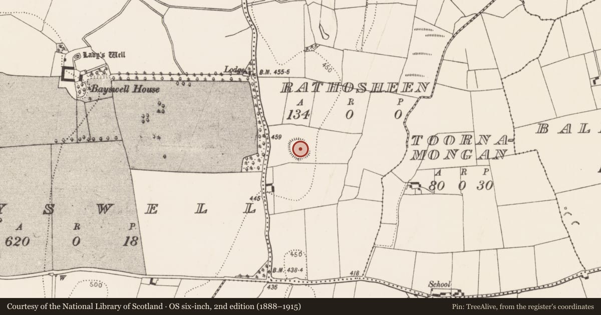 Ordnance Survey six-inch map, 2nd edition (1888–1915) covering the location of Ringfort - rath, Rathosheen, County Kilkenny, with a pin at the register's coordinates