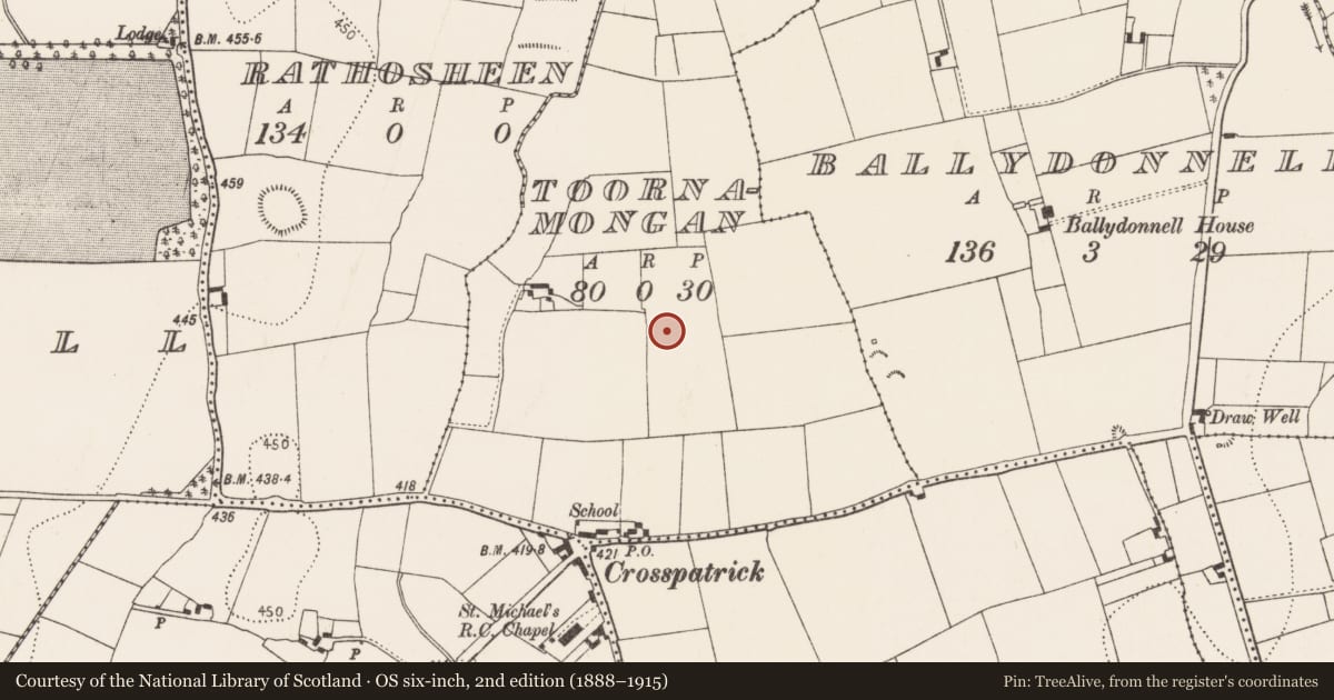 Ordnance Survey six-inch map, 2nd edition (1888–1915) covering the location of Enclosure, Toornamongan, County Kilkenny, with a pin at the register's coordinates