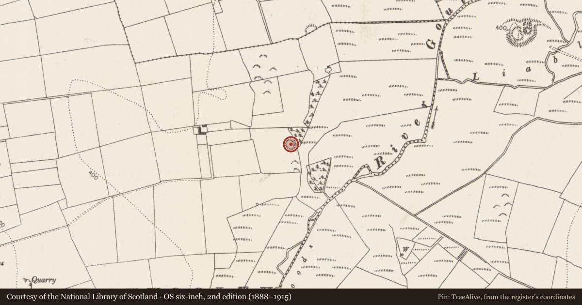 Ordnance Survey six-inch map, 2nd edition (1888–1915) covering the location of Ringfort - unclassified, Tullanvoolty, County Kilkenny, with a pin at the register's coordinates