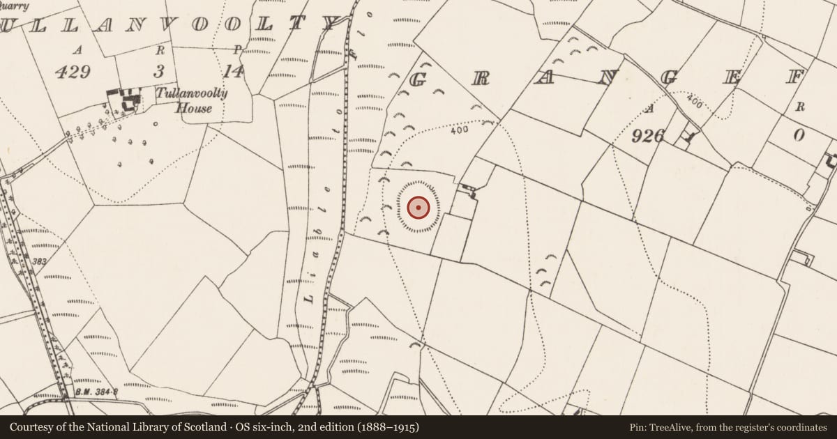 Ordnance Survey six-inch map, 2nd edition (1888–1915) covering the location of Enclosure, Grangefertagh, County Kilkenny, with a pin at the register's coordinates