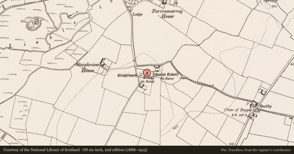 Ordnance Survey six-inch map, 2nd edition (1888–1915) covering the location of Graveslab, Grangefertagh, County Kilkenny, with a pin at the register's coordinates
