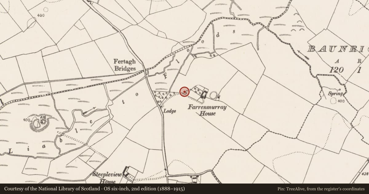 Ordnance Survey six-inch map, 2nd edition (1888–1915) covering the location of Mill - unclassified, Grangefertagh, County Kilkenny, with a pin at the register's coordinates