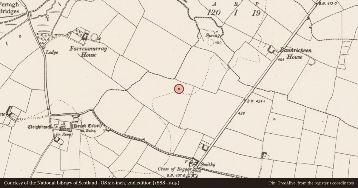 Ordnance Survey six-inch map, 2nd edition (1888–1915) covering the location of Ring-ditch, Rathlogan, County Kilkenny, with a pin at the register's coordinates