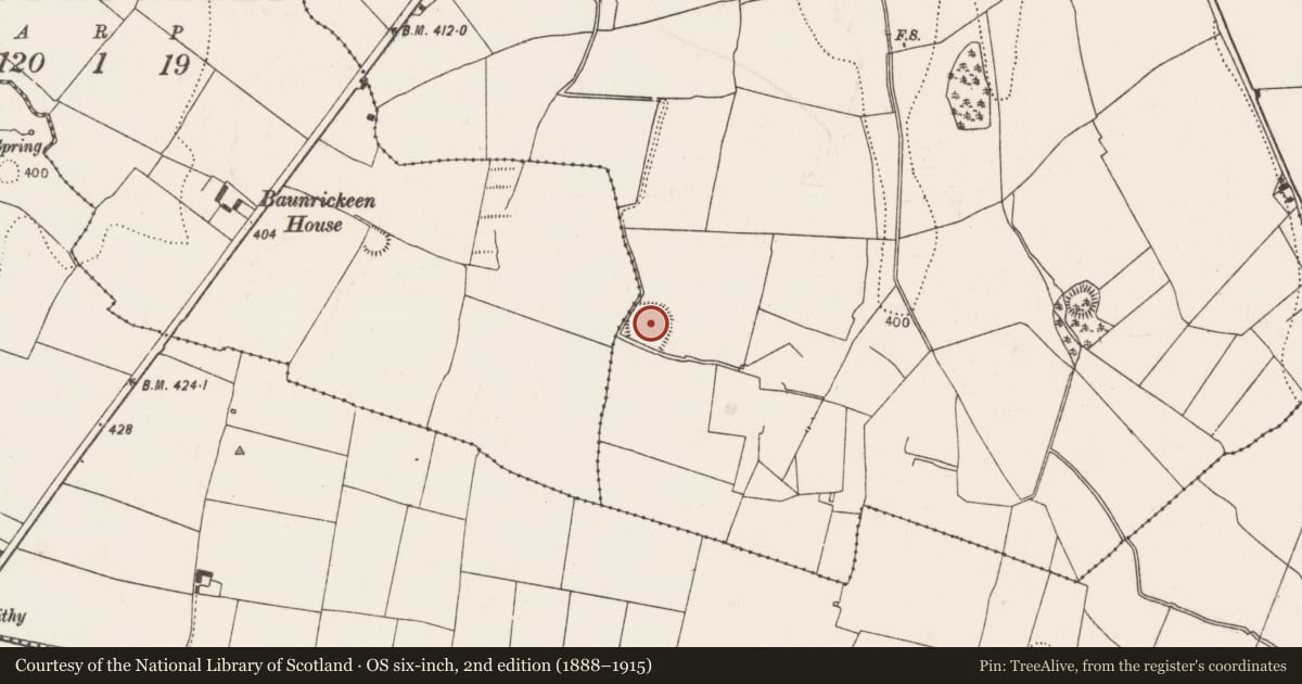 Ordnance Survey six-inch map, 2nd edition (1888–1915) covering the location of Ringfort - rath, Glashare, County Kilkenny, with a pin at the register's coordinates