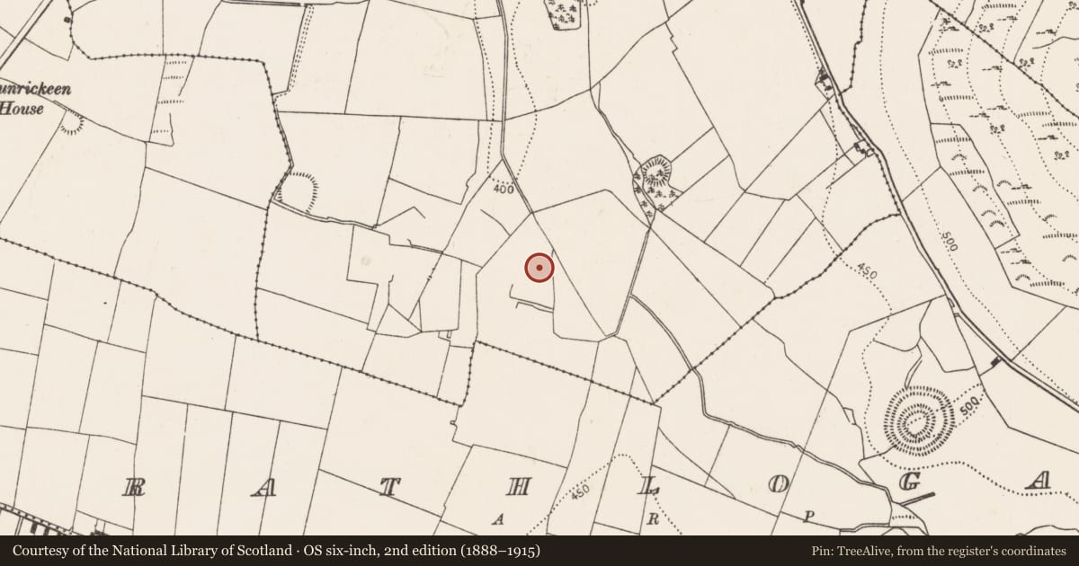 Ordnance Survey six-inch map, 2nd edition (1888–1915) covering the location of Enclosure, Glashare, County Kilkenny, with a pin at the register's coordinates