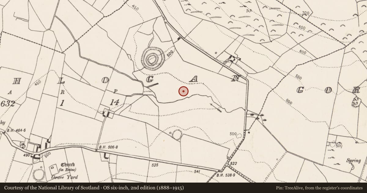 Ordnance Survey six-inch map, 2nd edition (1888–1915) covering the location of Field system, Rathlogan, County Kilkenny, with a pin at the register's coordinates