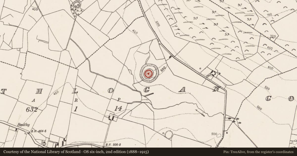 Ordnance Survey six-inch map, 2nd edition (1888–1915) covering the location of Ringfort - rath, Rathlogan, County Kilkenny, with a pin at the register's coordinates