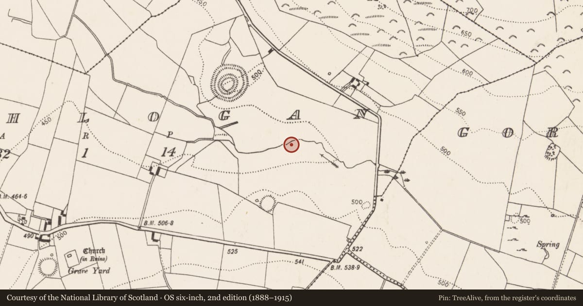 Ordnance Survey six-inch map, 2nd edition (1888–1915) covering the location of Fulacht fia, Rathlogan, County Kilkenny, with a pin at the register's coordinates