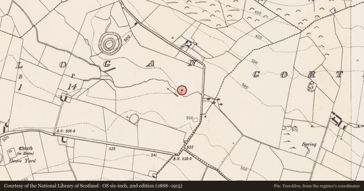 Ordnance Survey six-inch map, 2nd edition (1888–1915) covering the location of Water mill - unclassified, Rathlogan, County Kilkenny, with a pin at the register's coordinates