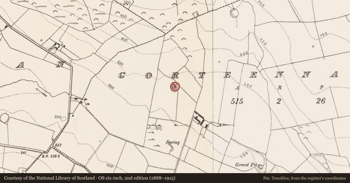 Ordnance Survey six-inch map, 2nd edition (1888–1915) covering the location of Ringfort - rath, Gorteennamuck, County Kilkenny, with a pin at the register's coordinates