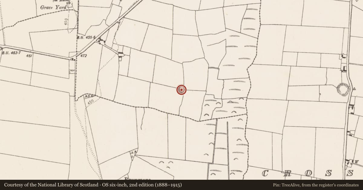Ordnance Survey six-inch map, 2nd edition (1888–1915) covering the location of Ringfort - rath, Lough, County Kilkenny, with a pin at the register's coordinates