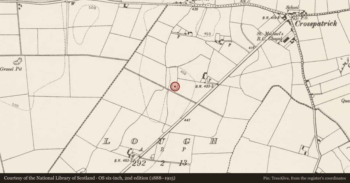 Ordnance Survey six-inch map, 2nd edition (1888–1915) covering the location of Ringfort - rath, Lough, County Kilkenny, with a pin at the register's coordinates