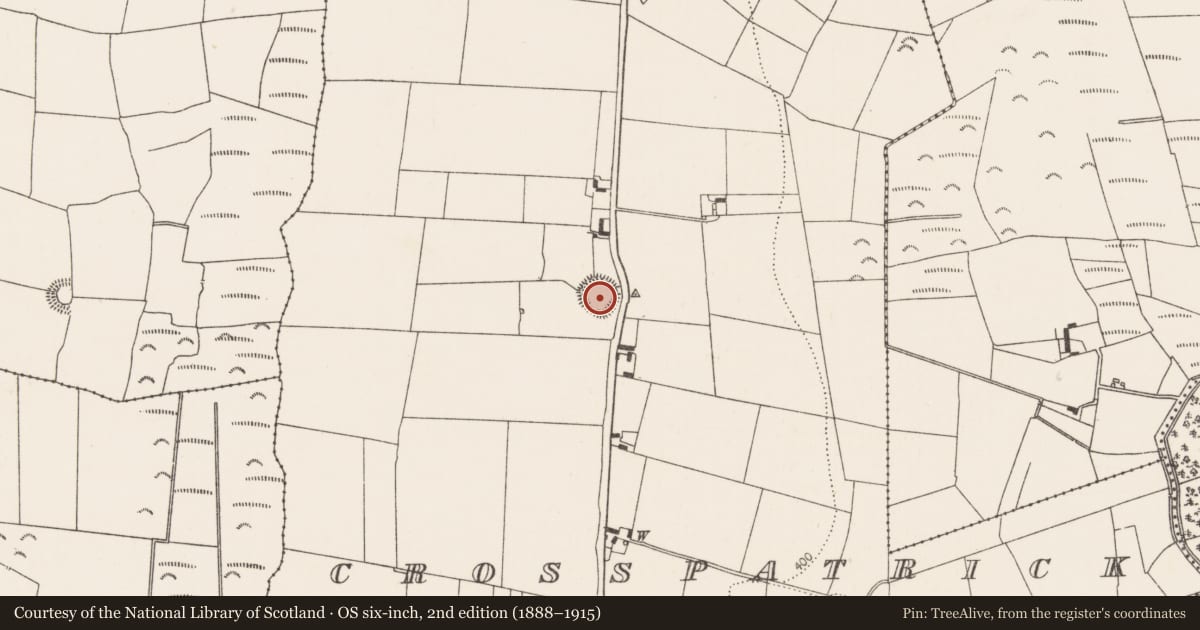 Ordnance Survey six-inch map, 2nd edition (1888–1915) covering the location of Ringfort - rath, Crosspatrick, County Kilkenny, with a pin at the register's coordinates