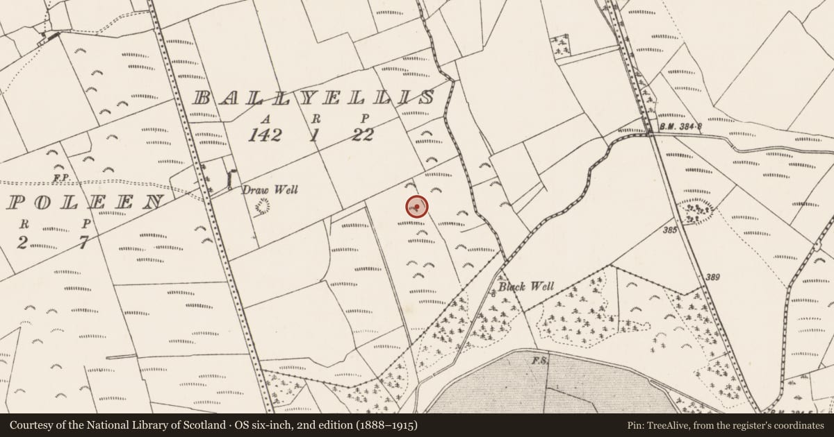 Ordnance Survey six-inch map, 2nd edition (1888–1915) covering the location of Enclosure, Ballyellis, County Kilkenny, with a pin at the register's coordinates