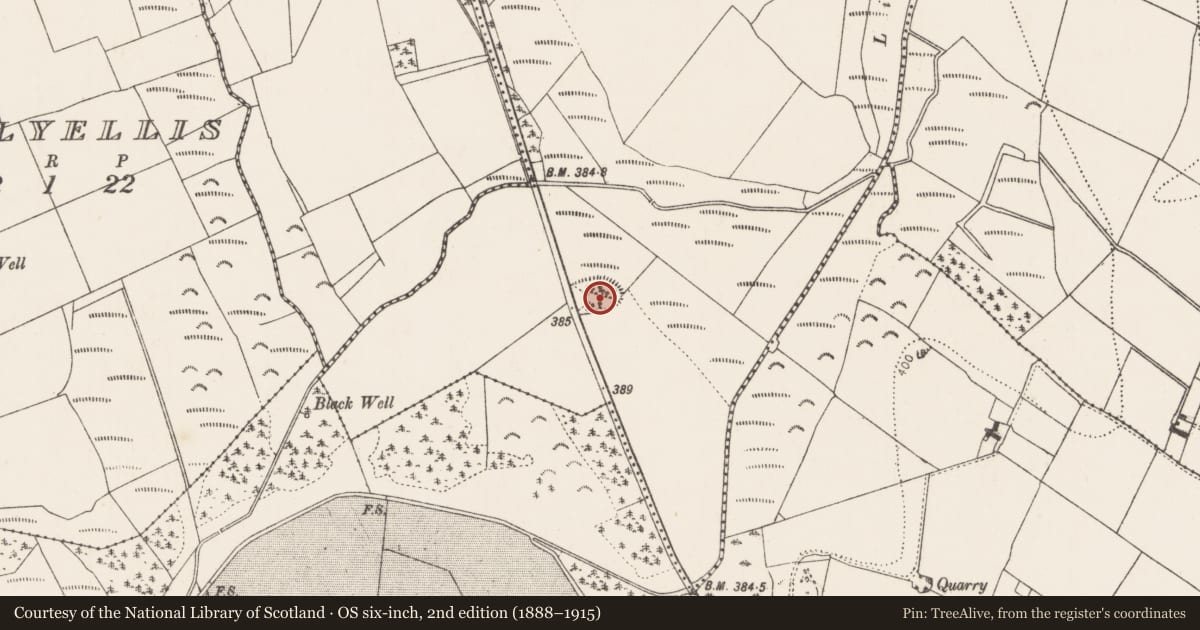 Ordnance Survey six-inch map, 2nd edition (1888–1915) covering the location of Enclosure, Tullanvoolty, County Kilkenny, with a pin at the register's coordinates
