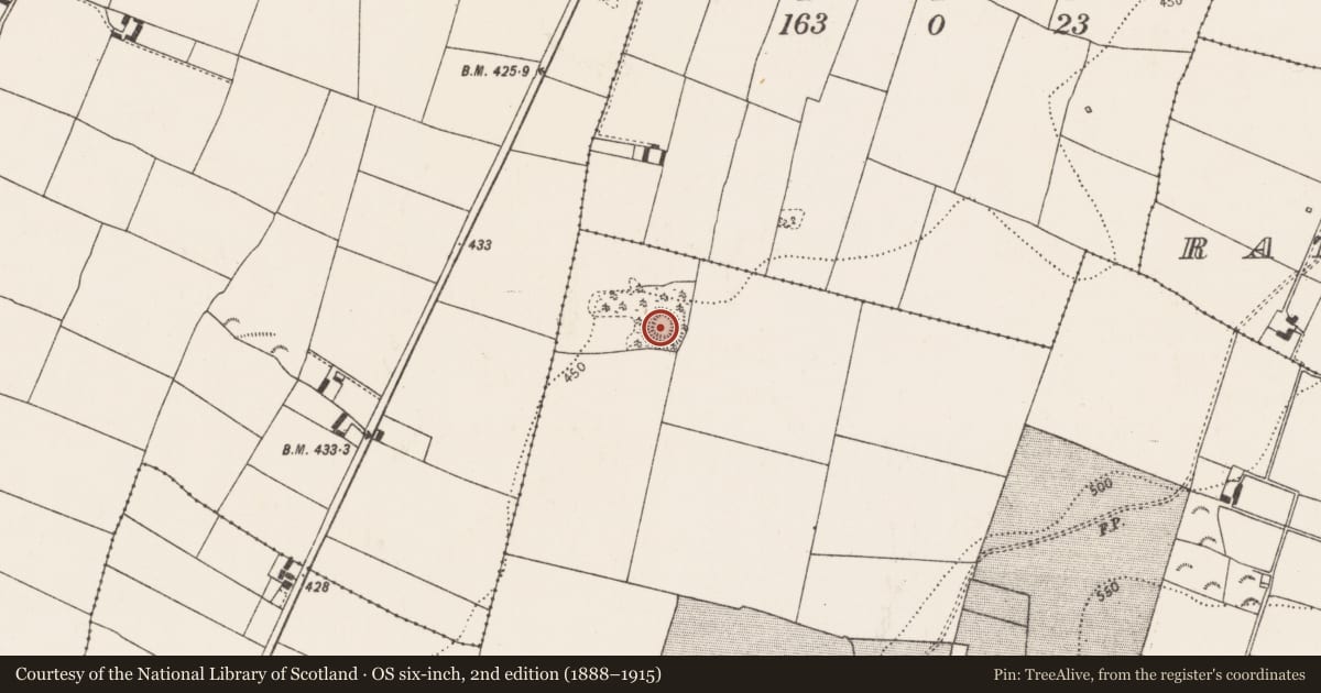 Ordnance Survey six-inch map, 2nd edition (1888–1915) covering the location of Ringfort - rath, Ballyspellan, County Kilkenny, with a pin at the register's coordinates