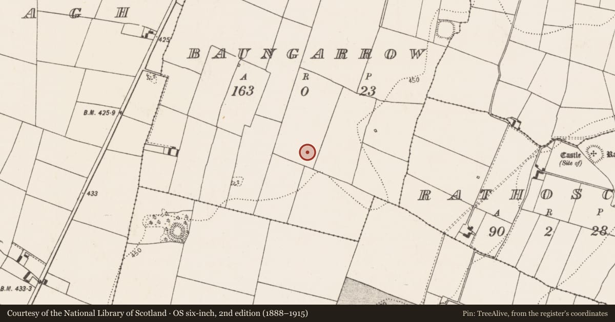 Ordnance Survey six-inch map, 2nd edition (1888–1915) covering the location of Enclosure, Baungarrow, County Kilkenny, with a pin at the register's coordinates
