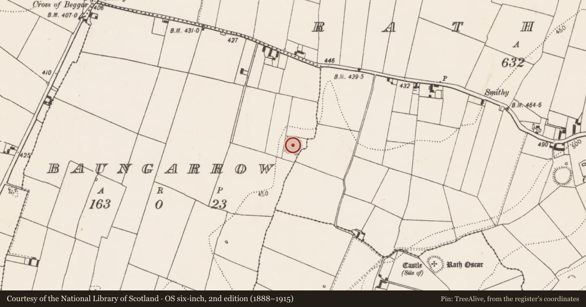 Ordnance Survey six-inch map, 2nd edition (1888–1915) covering the location of Enclosure, Baungarrow, County Kilkenny, with a pin at the register's coordinates