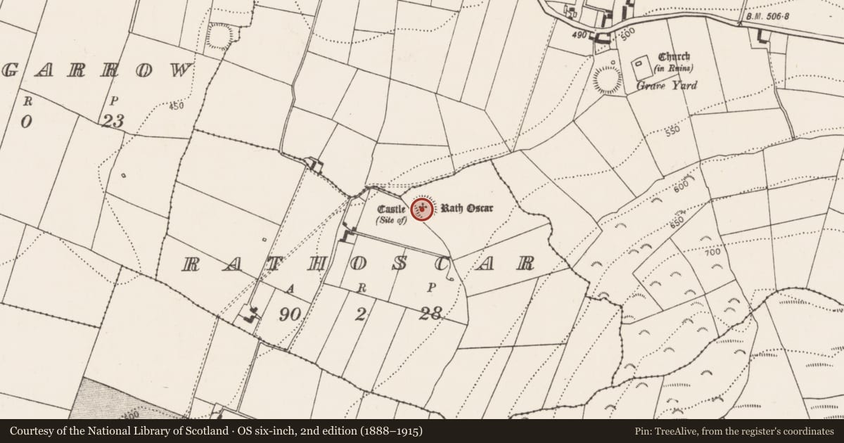 Ordnance Survey six-inch map, 2nd edition (1888–1915) covering the location of Castle - unclassified, Rathoscar, County Kilkenny, with a pin at the register's coordinates