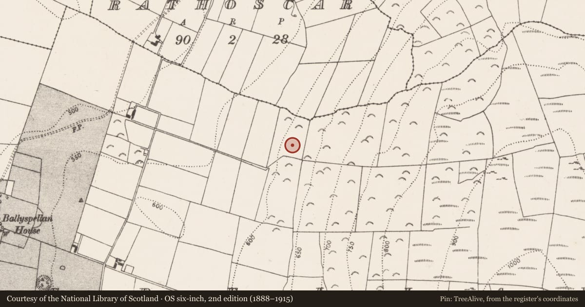 Ordnance Survey six-inch map, 2nd edition (1888–1915) covering the location of Enclosure, Ballyspellan, County Kilkenny, with a pin at the register's coordinates
