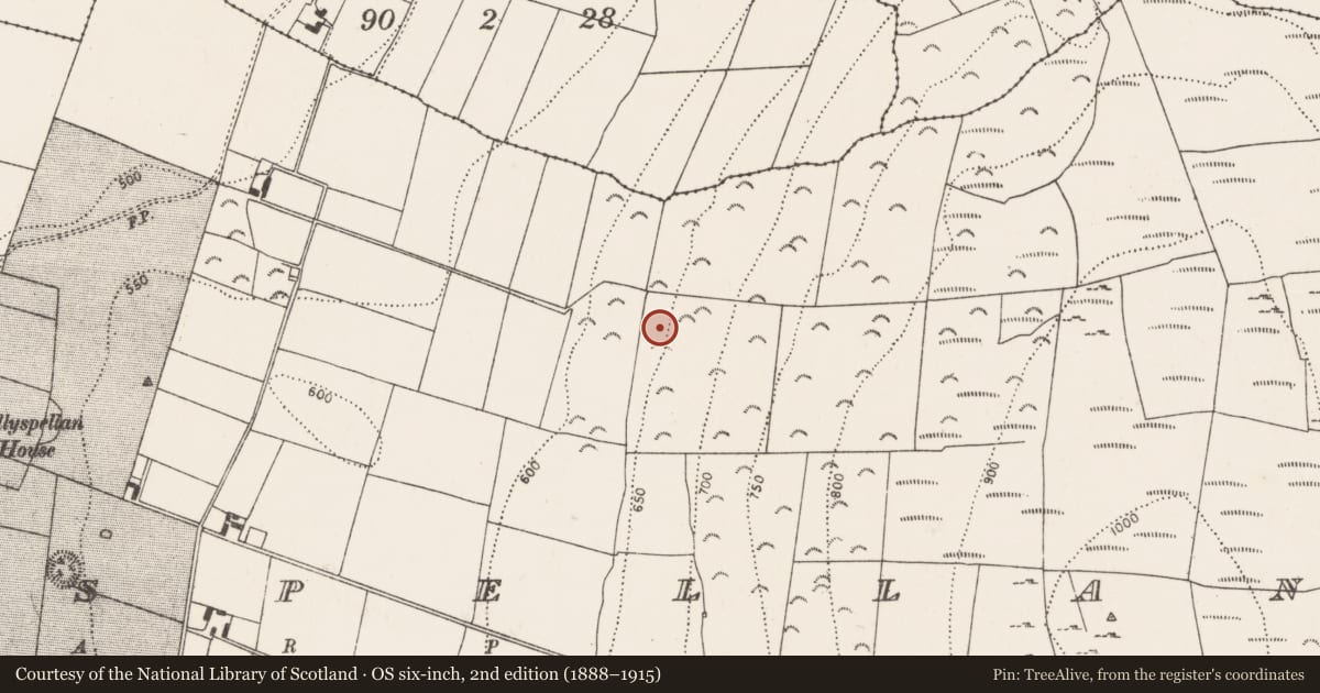 Ordnance Survey six-inch map, 2nd edition (1888–1915) covering the location of Enclosure, Ballyspellan, County Kilkenny, with a pin at the register's coordinates