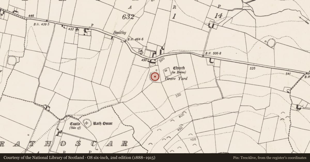 Ordnance Survey six-inch map, 2nd edition (1888–1915) covering the location of Ringfort - rath, Rathlogan, County Kilkenny, with a pin at the register's coordinates