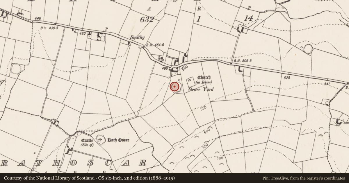 Ordnance Survey six-inch map, 2nd edition (1888–1915) covering the location of Souterrain, Rathlogan, County Kilkenny, with a pin at the register's coordinates