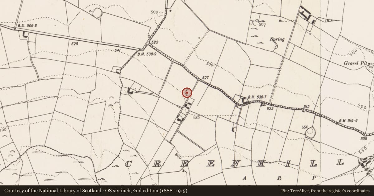 Ordnance Survey six-inch map, 2nd edition (1888–1915) covering the location of Ringfort - rath, Creenkill More, County Kilkenny, with a pin at the register's coordinates