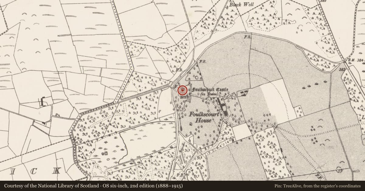 Ordnance Survey six-inch map, 2nd edition (1888–1915) covering the location of Castle - tower house, Foulkscourt, County Kilkenny, with a pin at the register's coordinates
