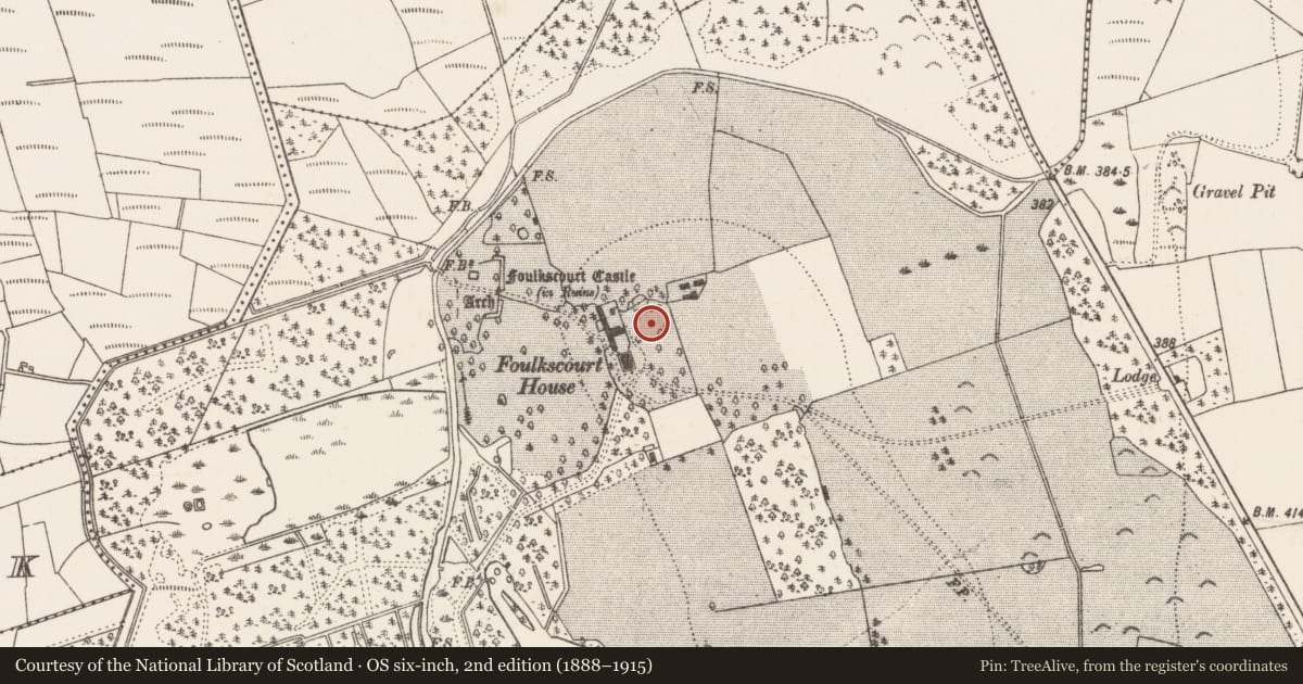 Ordnance Survey six-inch map, 2nd edition (1888–1915) covering the location of Enclosure, Foulkscourt, County Kilkenny, with a pin at the register's coordinates