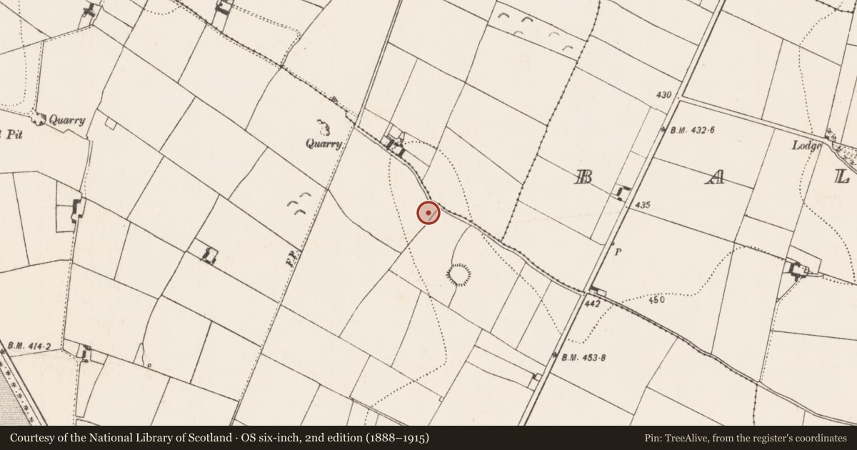 Ordnance Survey six-inch map, 2nd edition (1888–1915) covering the location of Enclosure, Foulkscourt, County Kilkenny, with a pin at the register's coordinates