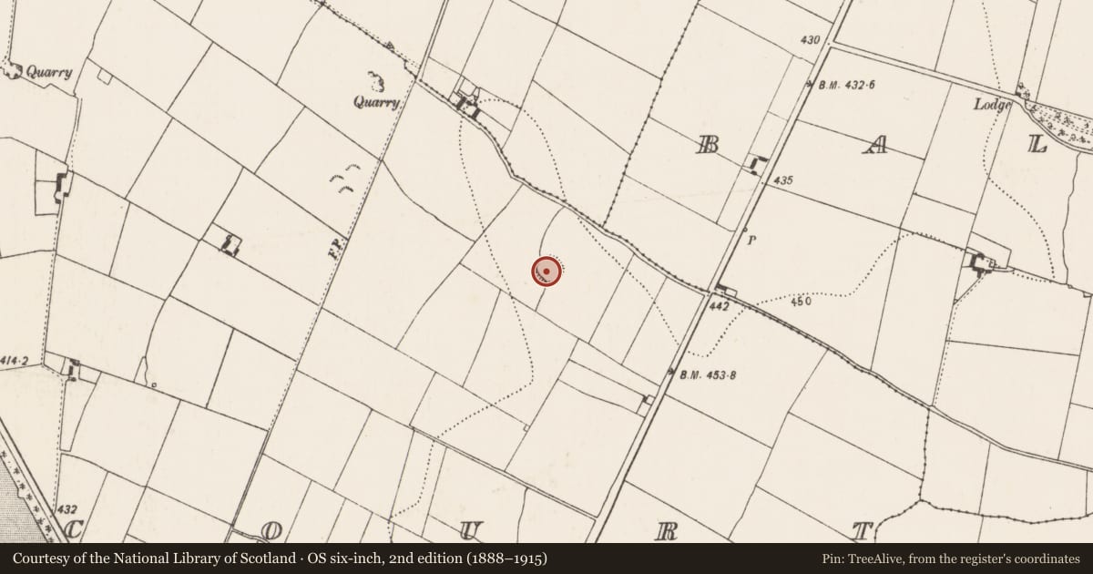 Ordnance Survey six-inch map, 2nd edition (1888–1915) covering the location of Ringfort - rath, Foulkscourt, County Kilkenny, with a pin at the register's coordinates