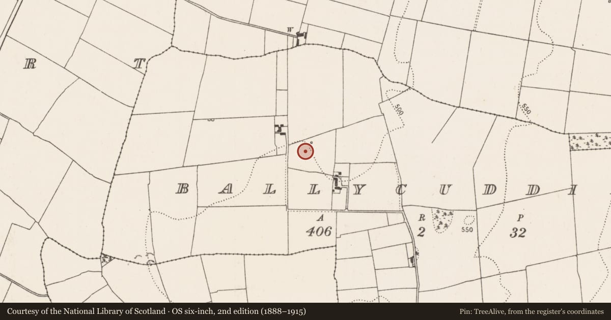 Ordnance Survey six-inch map, 2nd edition (1888–1915) covering the location of Enclosure, Ballycuddihy), County Kilkenny, with a pin at the register's coordinates
