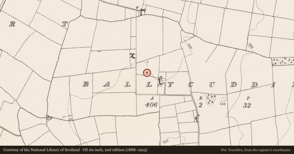 Ordnance Survey six-inch map, 2nd edition (1888–1915) covering the location of Enclosure, Ballycuddihy), County Kilkenny, with a pin at the register's coordinates