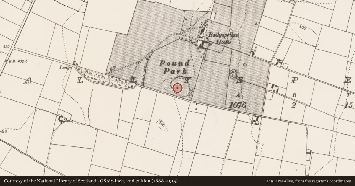 Ordnance Survey six-inch map, 2nd edition (1888–1915) covering the location of Enclosure, Ballyspellan, County Kilkenny, with a pin at the register's coordinates