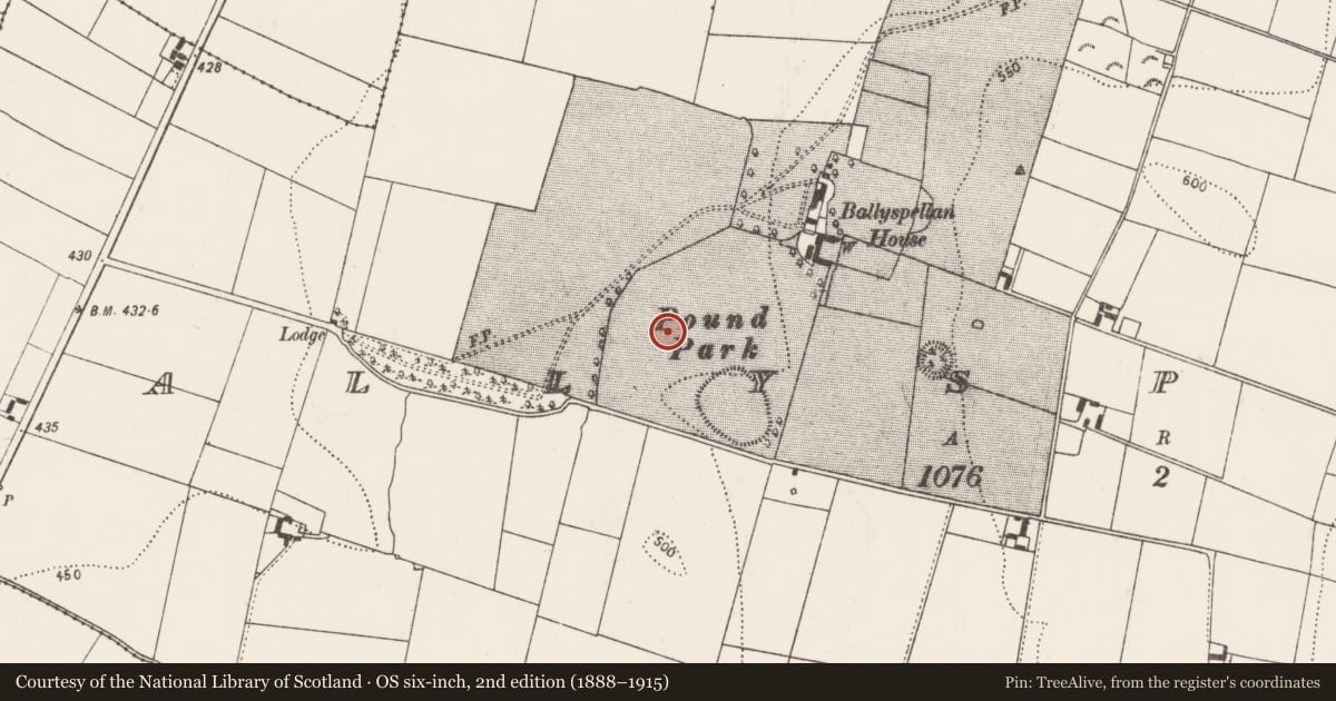 Ordnance Survey six-inch map, 2nd edition (1888–1915) covering the location of Road - road/trackway, Ballyspellan, County Kilkenny, with a pin at the register's coordinates