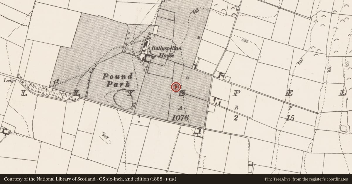 Ordnance Survey six-inch map, 2nd edition (1888–1915) covering the location of Enclosure, Ballyspellan, County Kilkenny, with a pin at the register's coordinates