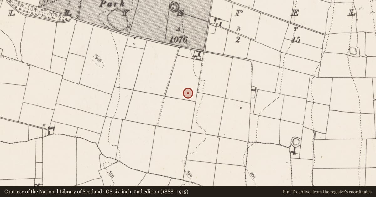 Ordnance Survey six-inch map, 2nd edition (1888–1915) covering the location of Enclosure, Ballyspellan, County Kilkenny, with a pin at the register's coordinates