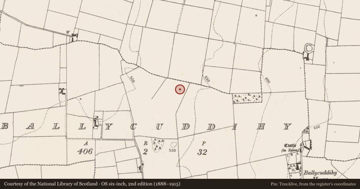 Ordnance Survey six-inch map, 2nd edition (1888–1915) covering the location of Enclosure, Ballycuddihy), County Kilkenny, with a pin at the register's coordinates