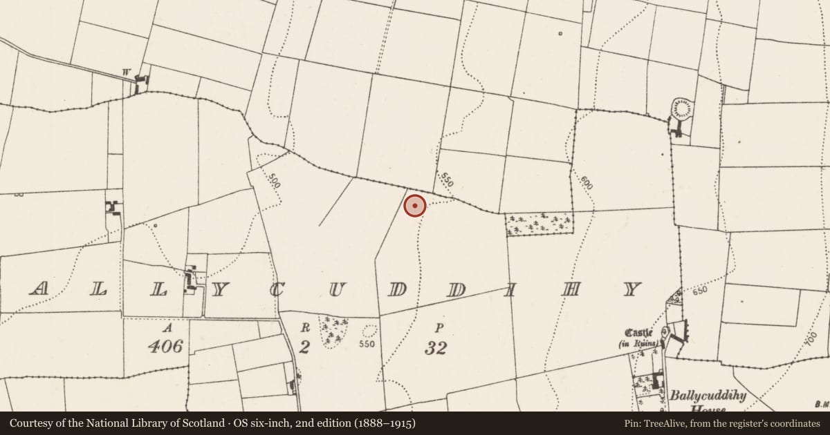 Ordnance Survey six-inch map, 2nd edition (1888–1915) covering the location of Enclosure, Ballycuddihy), County Kilkenny, with a pin at the register's coordinates