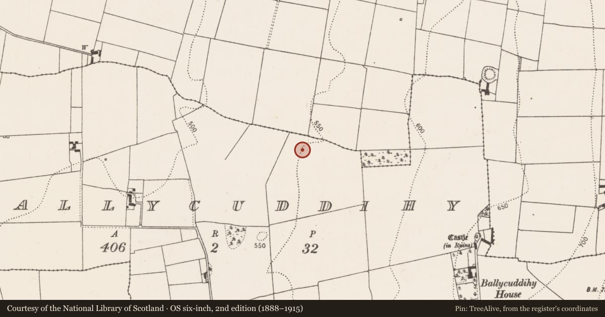 Ordnance Survey six-inch map, 2nd edition (1888–1915) covering the location of Enclosure, Ballycuddihy), County Kilkenny, with a pin at the register's coordinates