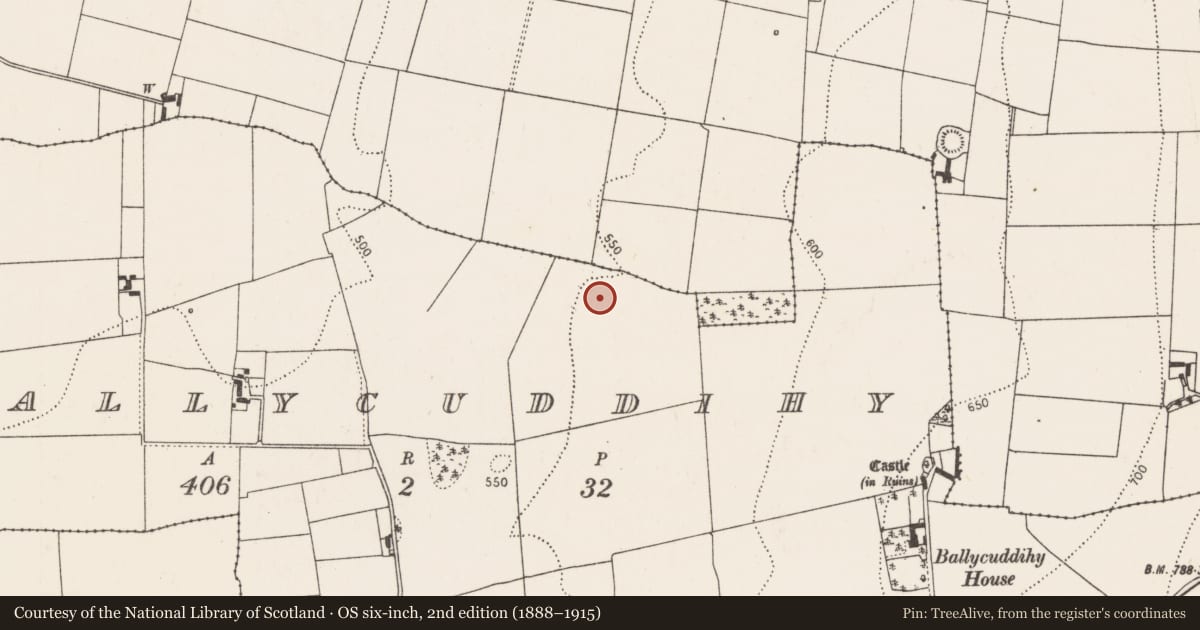 Ordnance Survey six-inch map, 2nd edition (1888–1915) covering the location of Enclosure, Ballycuddihy), County Kilkenny, with a pin at the register's coordinates