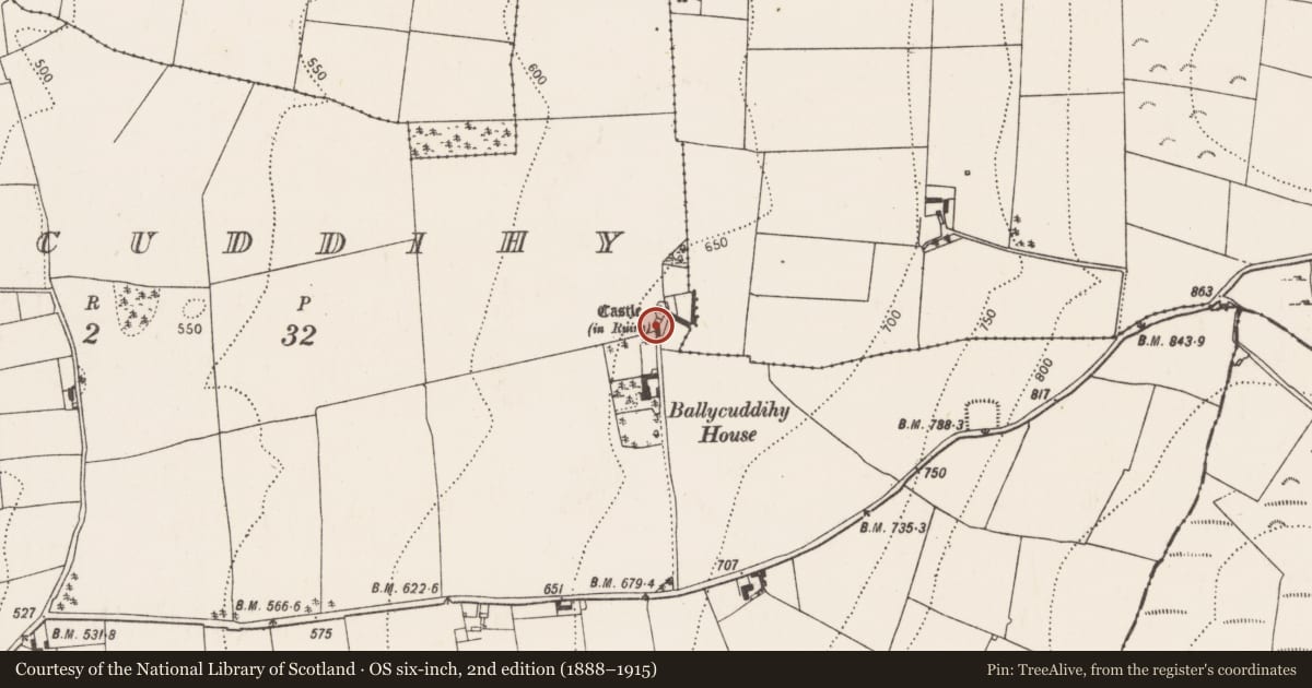 Ordnance Survey six-inch map, 2nd edition (1888–1915) covering the location of Castle - tower house, Ballycuddihy), County Kilkenny, with a pin at the register's coordinates