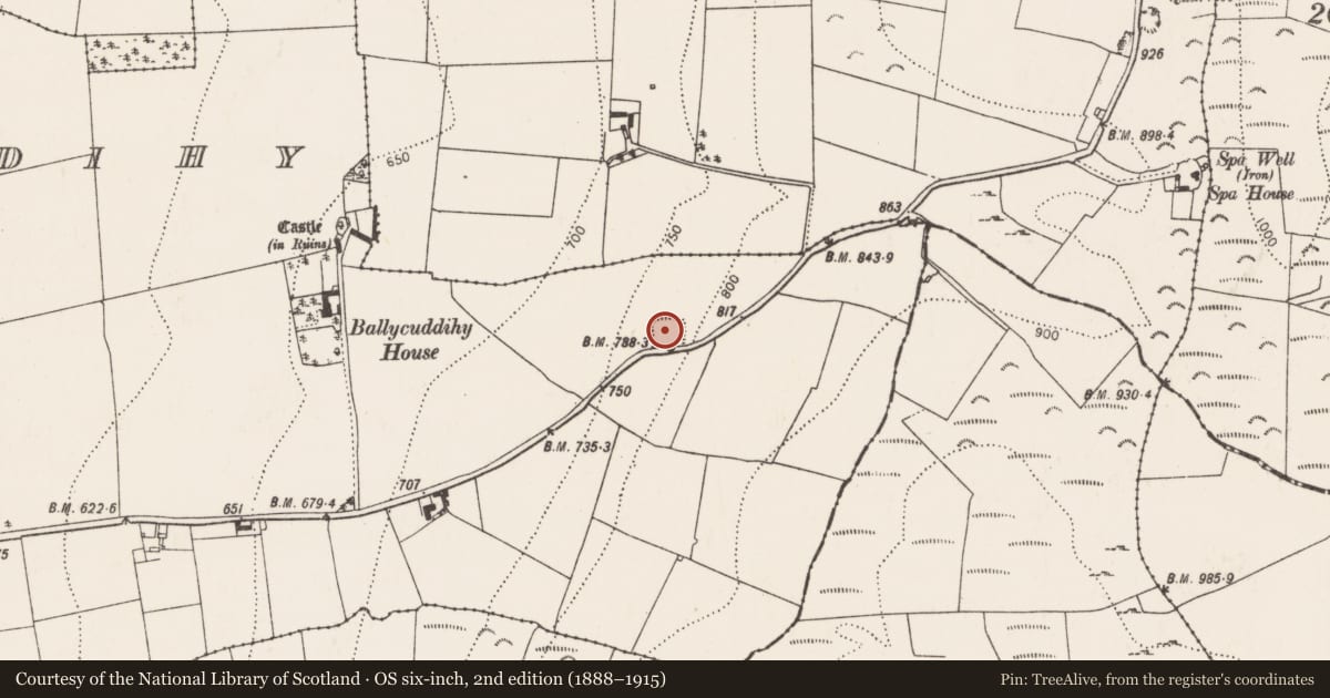 Ordnance Survey six-inch map, 2nd edition (1888–1915) covering the location of Enclosure, Ballycuddihy), County Kilkenny, with a pin at the register's coordinates