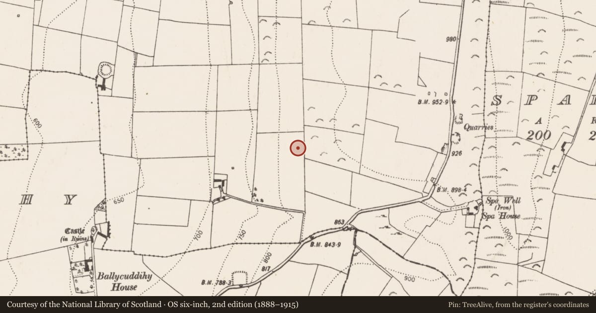 Ordnance Survey six-inch map, 2nd edition (1888–1915) covering the location of Building, Ballyspellan, County Kilkenny, with a pin at the register's coordinates