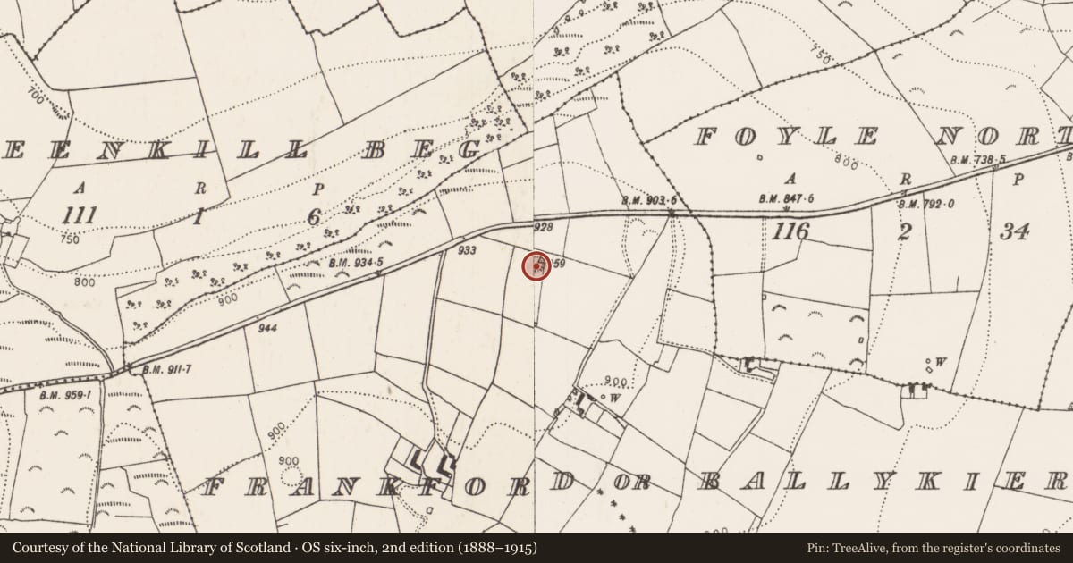 Ordnance Survey six-inch map, 2nd edition (1888–1915) covering the location of Ringfort - rath, Frankford Or Ballykieran, County Kilkenny, with a pin at the register's coordinates