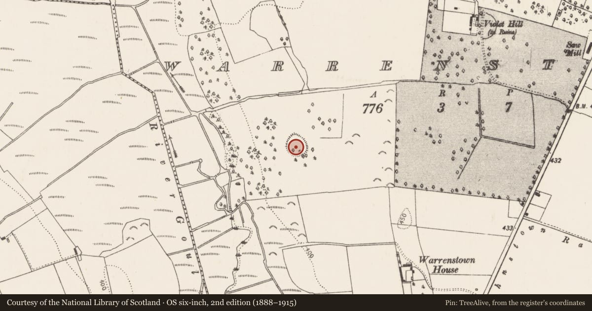 Ordnance Survey six-inch map, 2nd edition (1888–1915) covering the location of Designed landscape feature, Warrenstown, County Kilkenny, with a pin at the register's coordinates