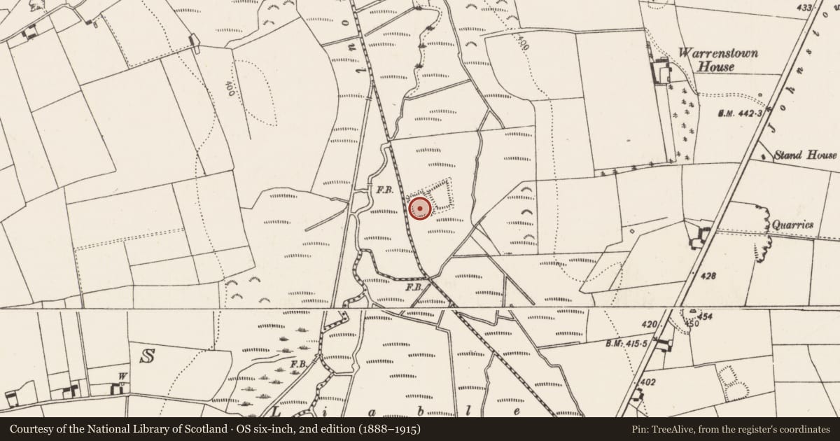 Ordnance Survey six-inch map, 2nd edition (1888–1915) covering the location of Moated site, Warrenstown, County Kilkenny, with a pin at the register's coordinates