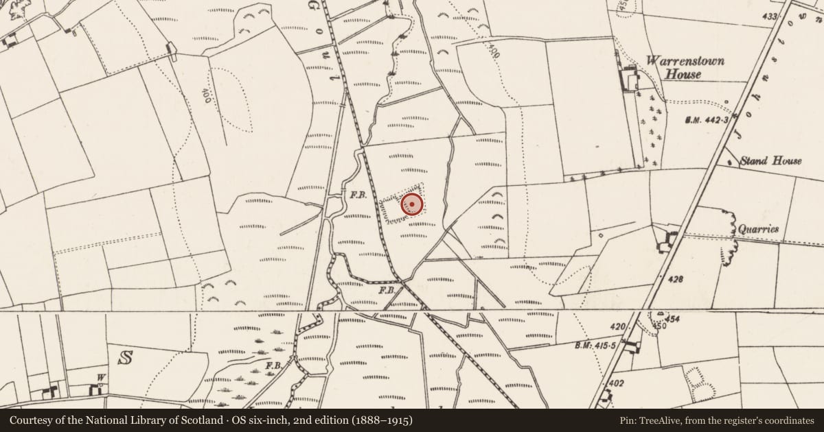 Ordnance Survey six-inch map, 2nd edition (1888–1915) covering the location of Moated site, Warrenstown, County Kilkenny, with a pin at the register's coordinates