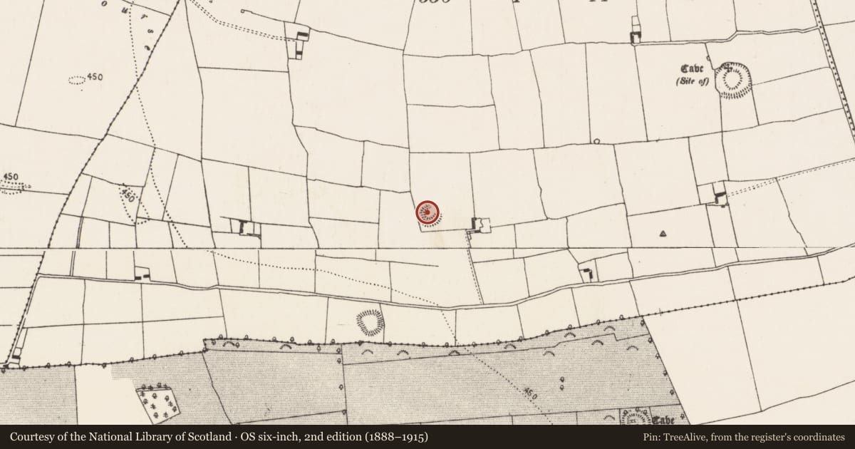 Ordnance Survey six-inch map, 2nd edition (1888–1915) covering the location of Ringfort - rath, Donaghmore Lower, County Kilkenny, with a pin at the register's coordinates